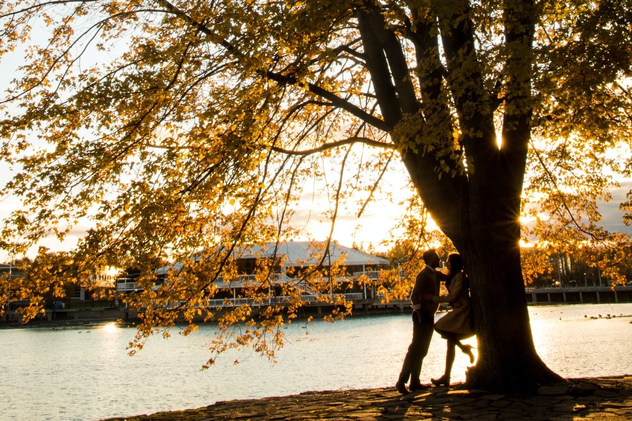 A newly engaged couple standing under an autumn tree on the bank of a picturesque body of water.